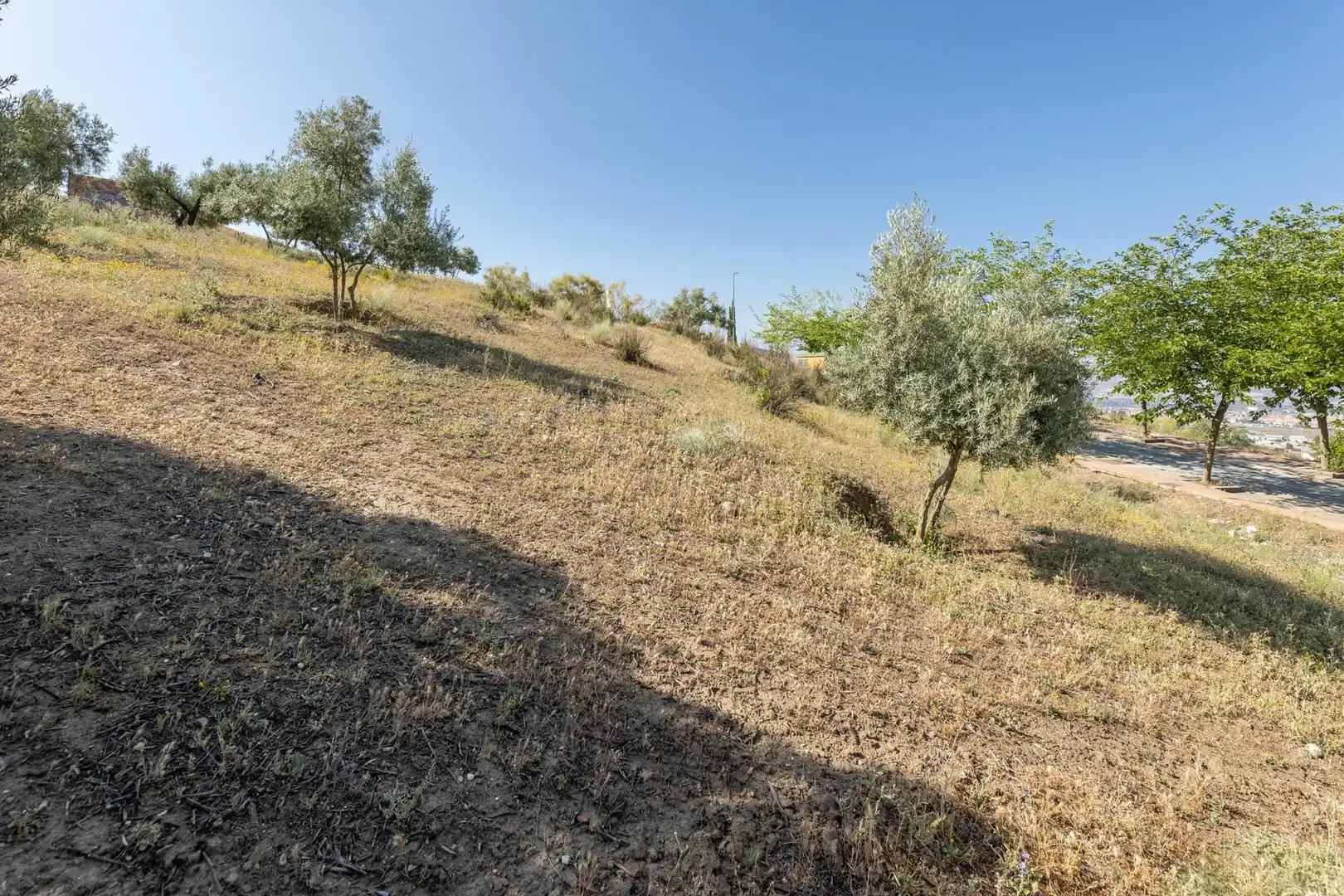 Terreno residencial en venta en Alfacar, imagen 13