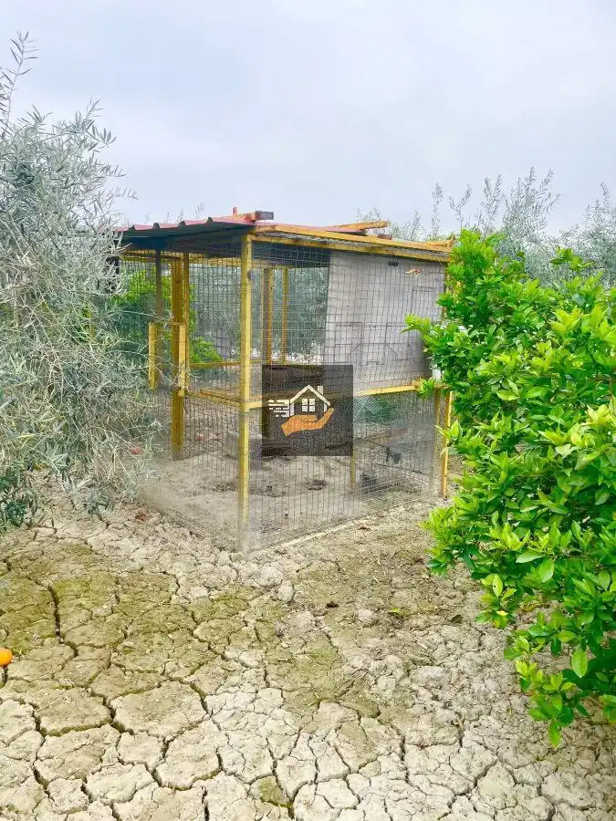 Jardín de Residencial en venta en Lorquí