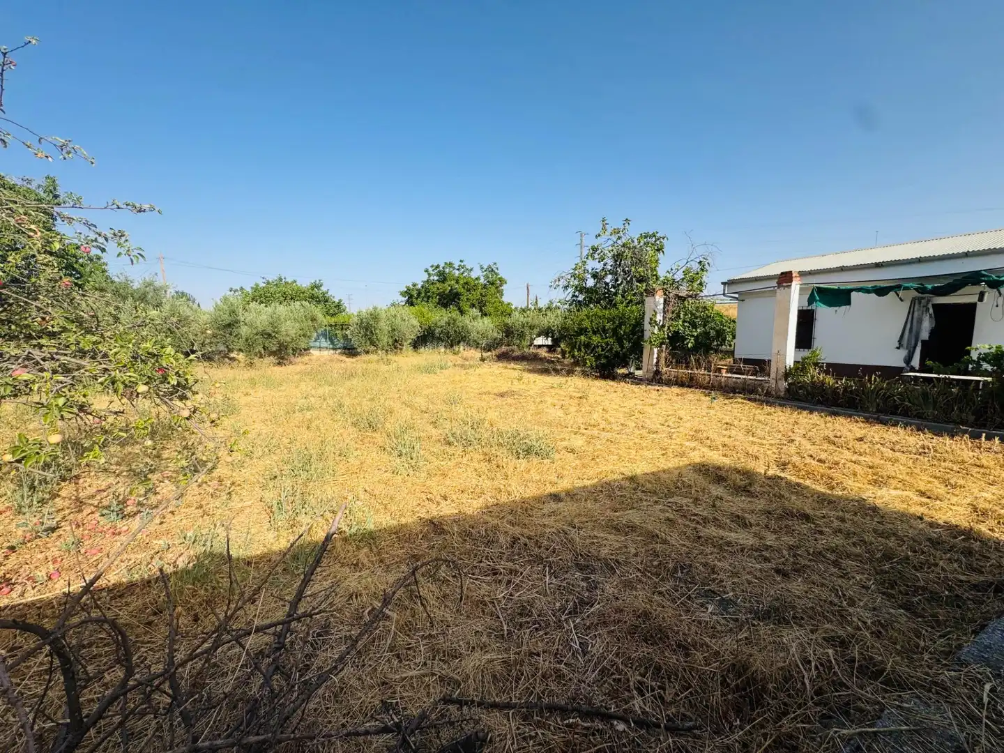 Terreno en venta en Granada