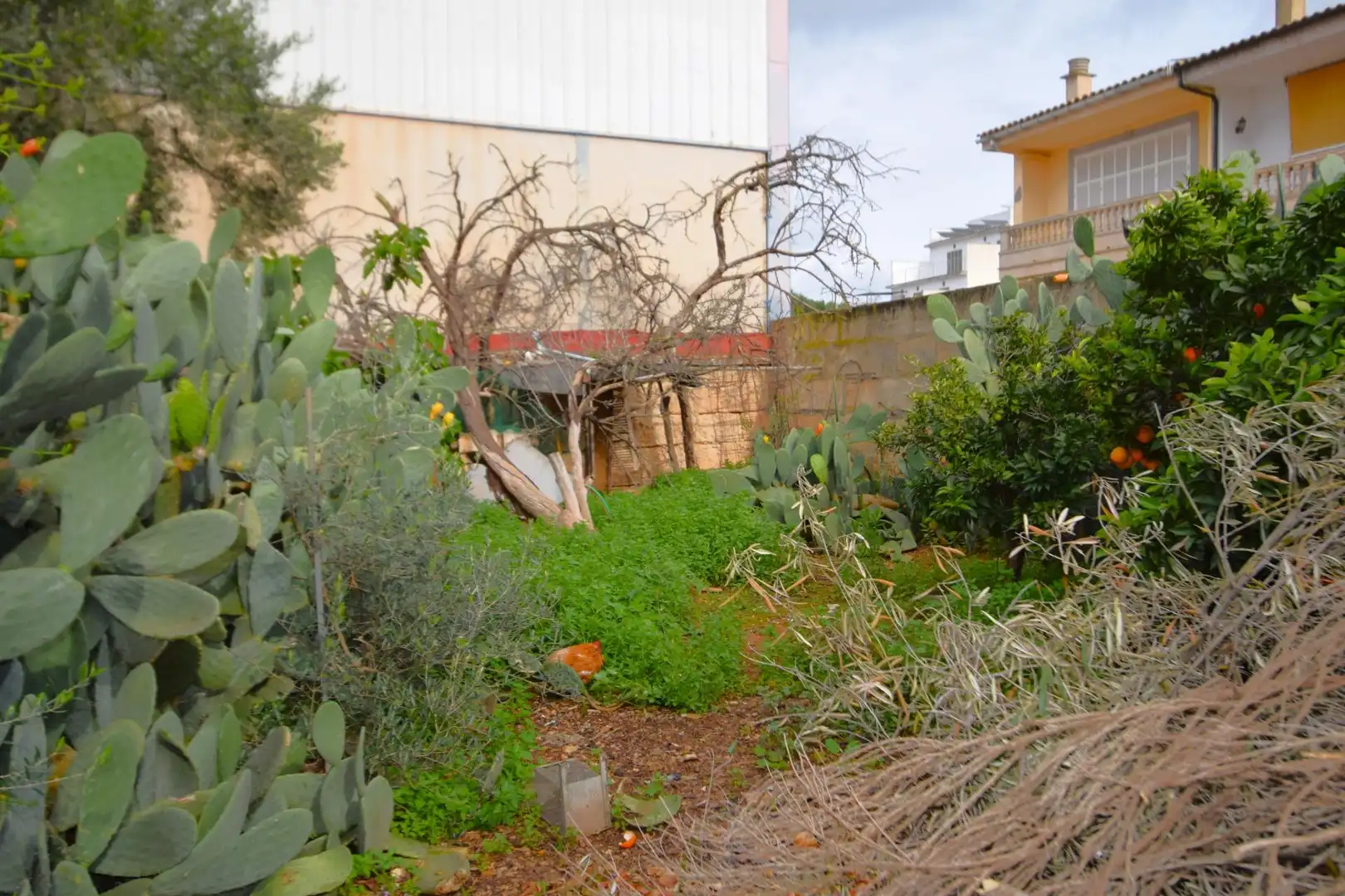 Lands and plots for sale in Carrer del Bisbe Miquel Moncadas, imagen 10