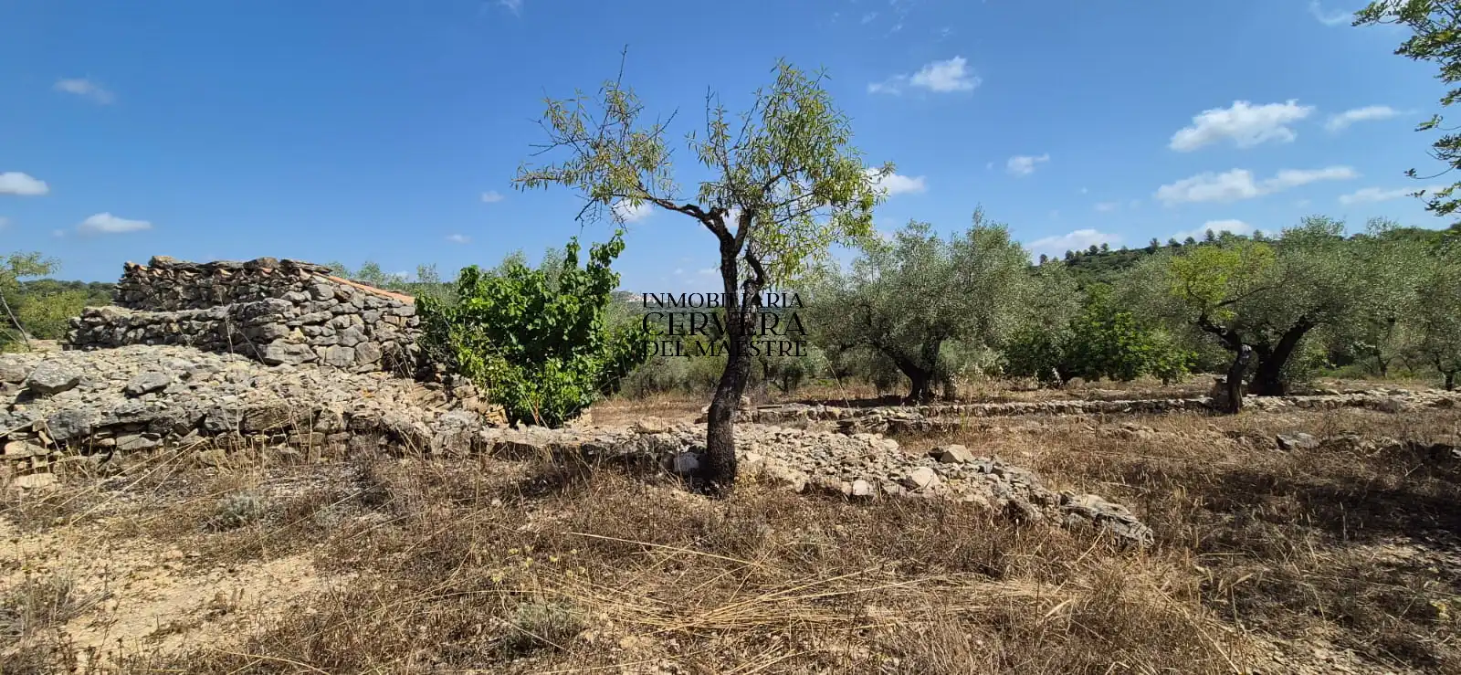 Terreno rustico in vendita a Cervera del Maestre, imagen 4