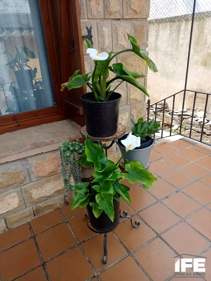 Terrassa de Casa o xalet en venda en Luceni amb Aire condicionat, Calefacció i Jardí privat