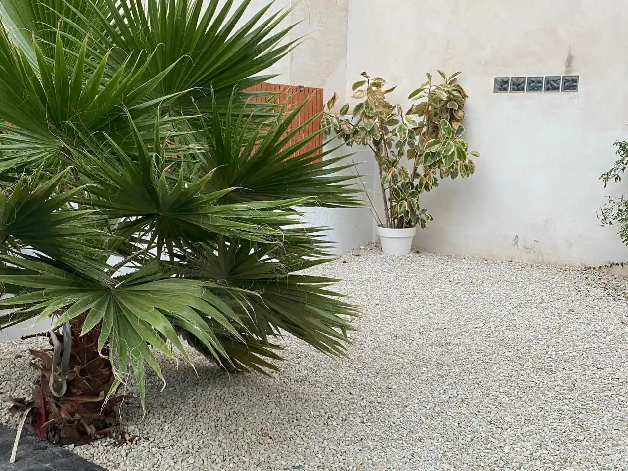 Jardí de Edifici en venda en Calpe / Calp