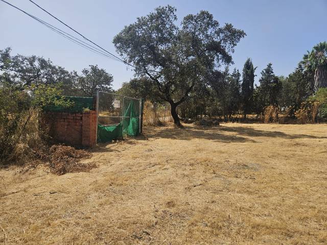 Terreno en Venta en Castilblanco de los Arroyos