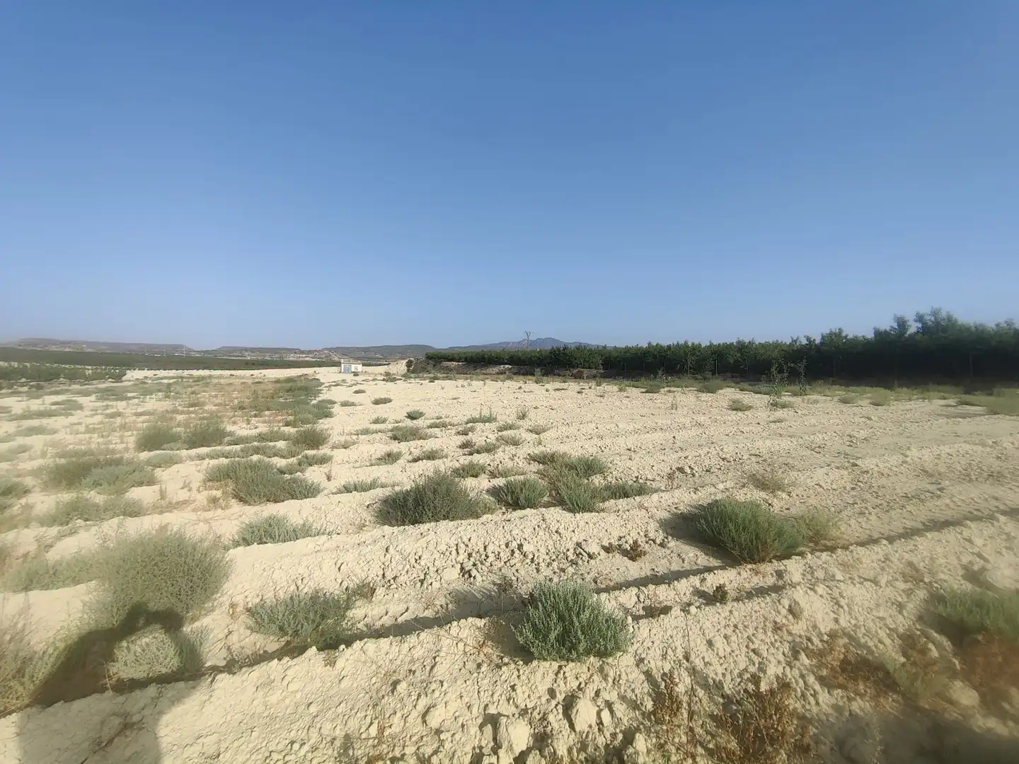 Land for sale in Ojós