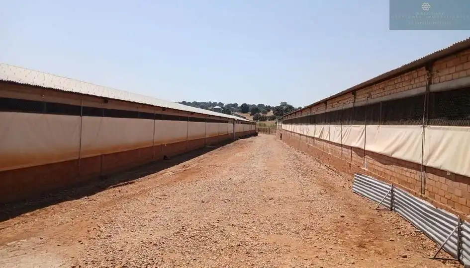 Vista exterior de Finca rústica en venta en Cristina