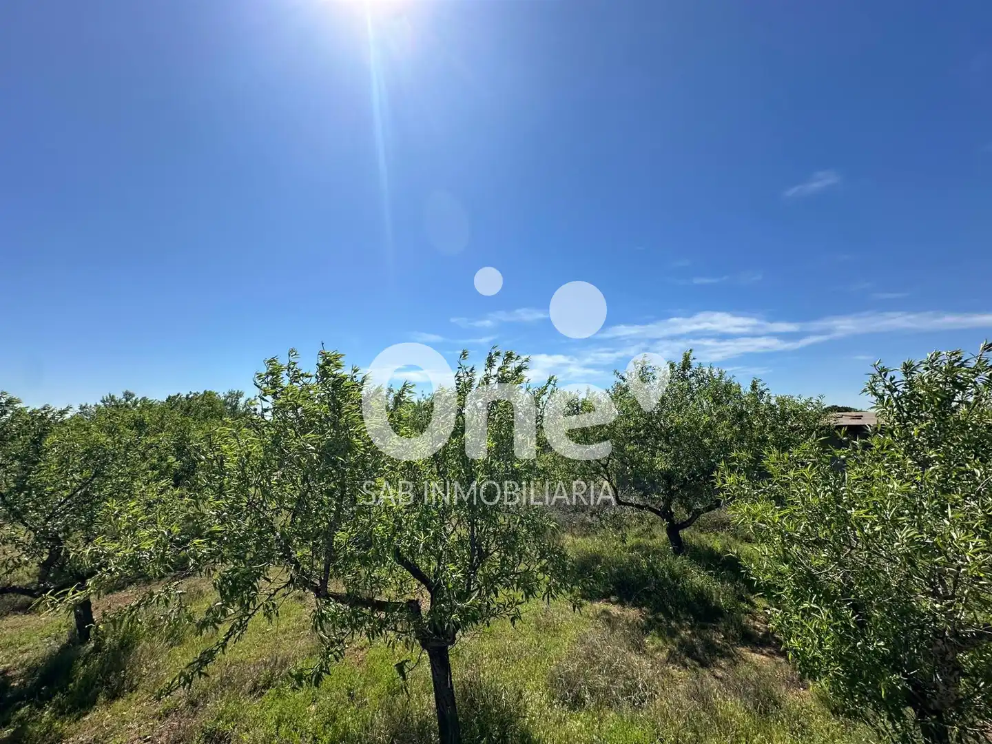Terrain rustique à vendre à Diseminado-san Ant Benag 29