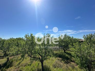 Rural land for sale in Diseminado-san Ant Benag 29