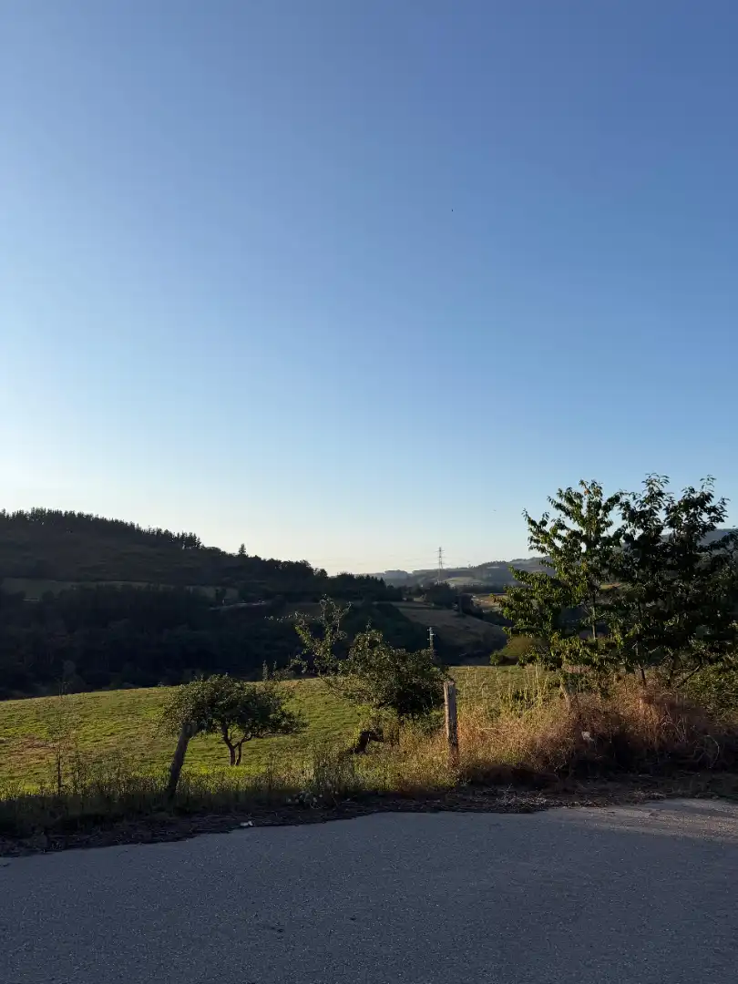 Rural land for sale in Tineo, imagen 15
