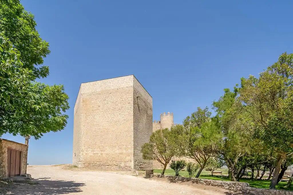 Vista exterior de Casa o chalet en venta en Montealegre de Campos