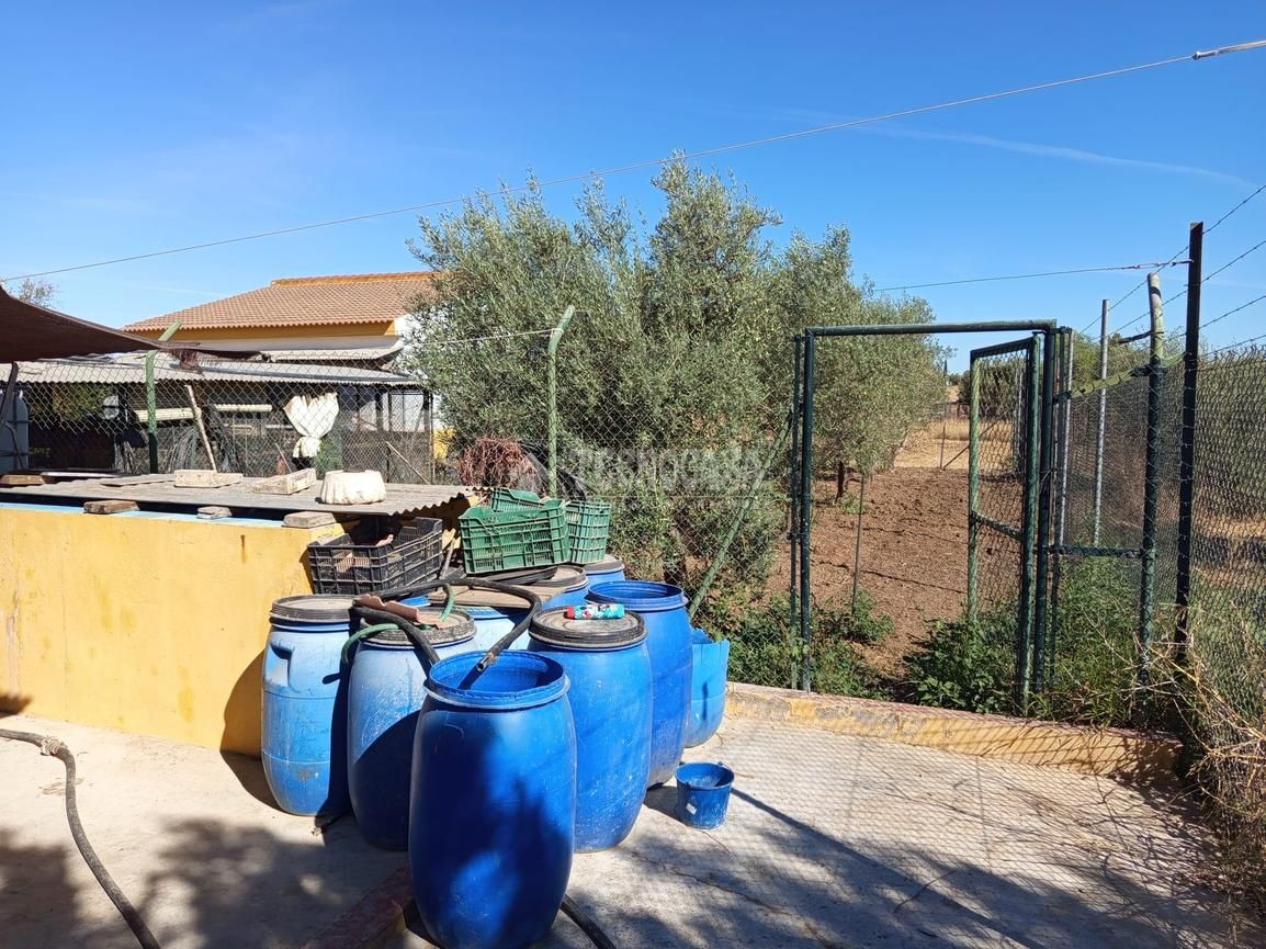 Garden of Country house for sale in Carmona  with Heating and Terrace