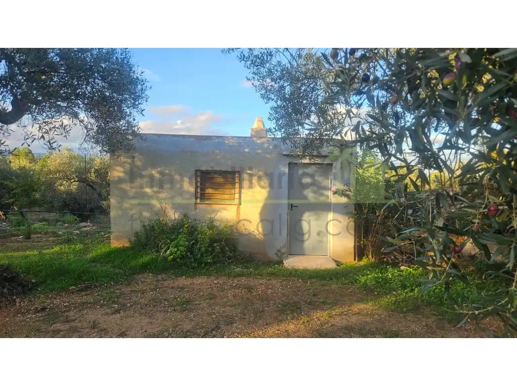 Vista exterior de Finca rústica en venta en Canet lo Roig con Jardín privado