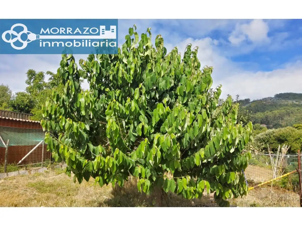 Exterior view of Houses for sale in Marín  with Heating, Private garden and Terrace