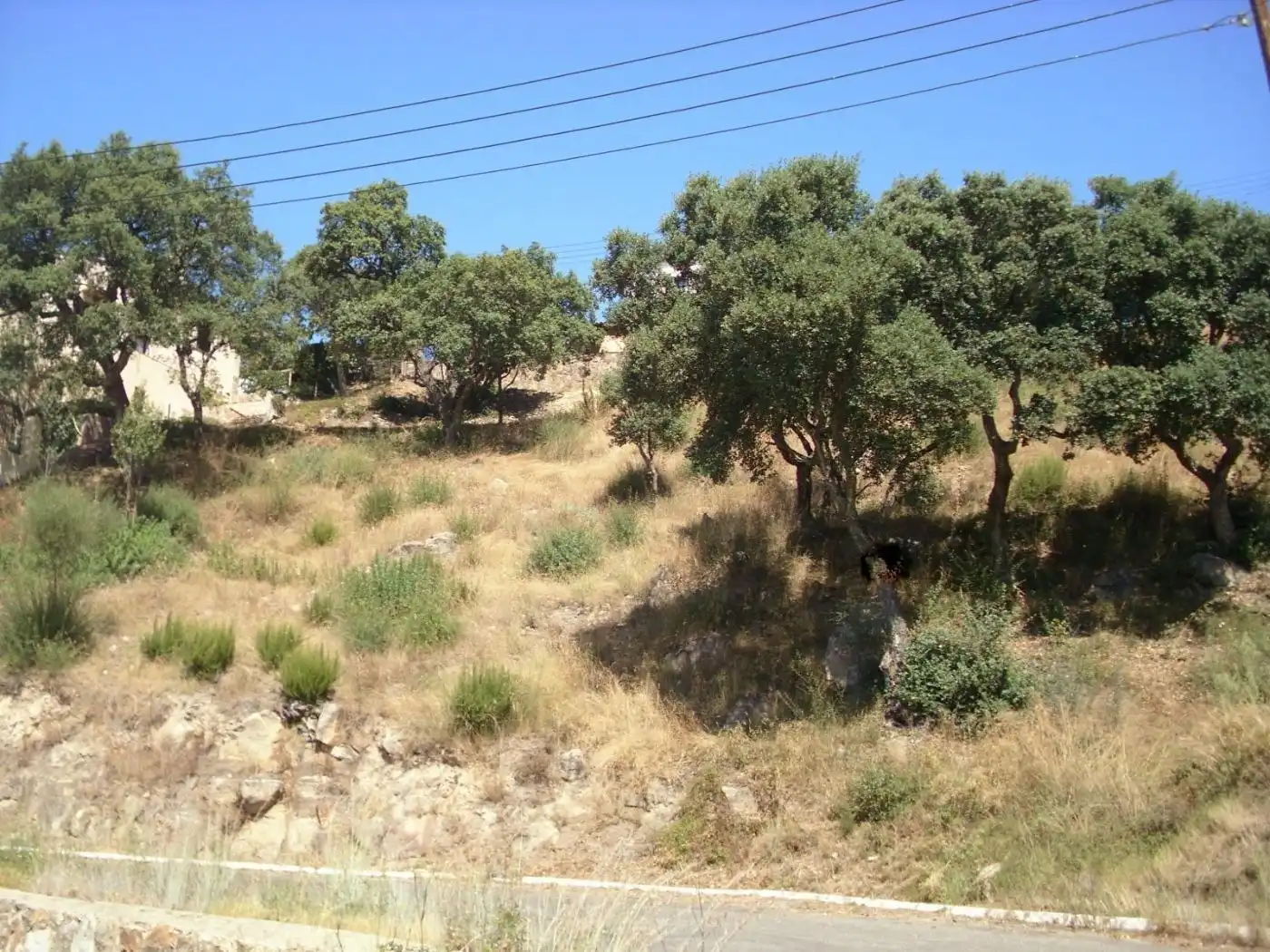 Terreny residencial en venda a Castell d'Aro