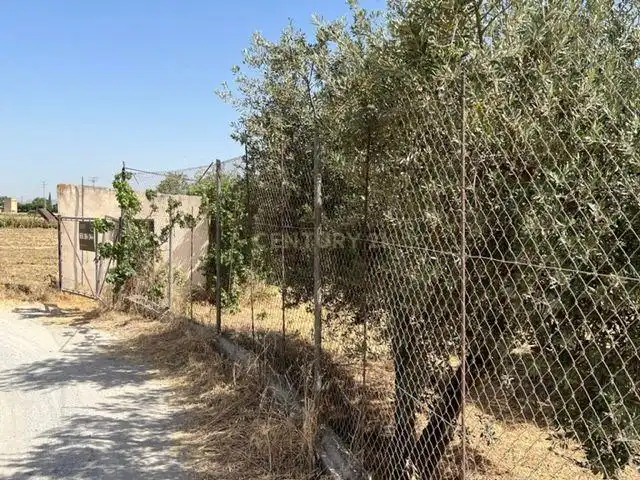 Terreno rustico in vendita a JUEVES POR LA MAQANA POLIGONO 3, imagen 3