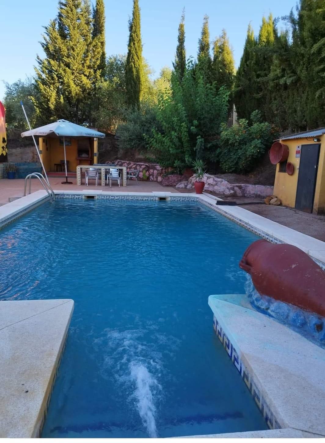 Swimming pool of House or chalet for sale in La Puebla de los Infantes  with Air Conditioner, Terrace and Storage room