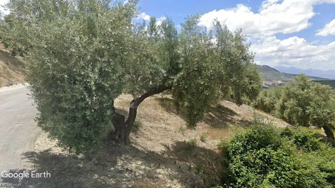 Terreni e lotti in vendita a Quesada