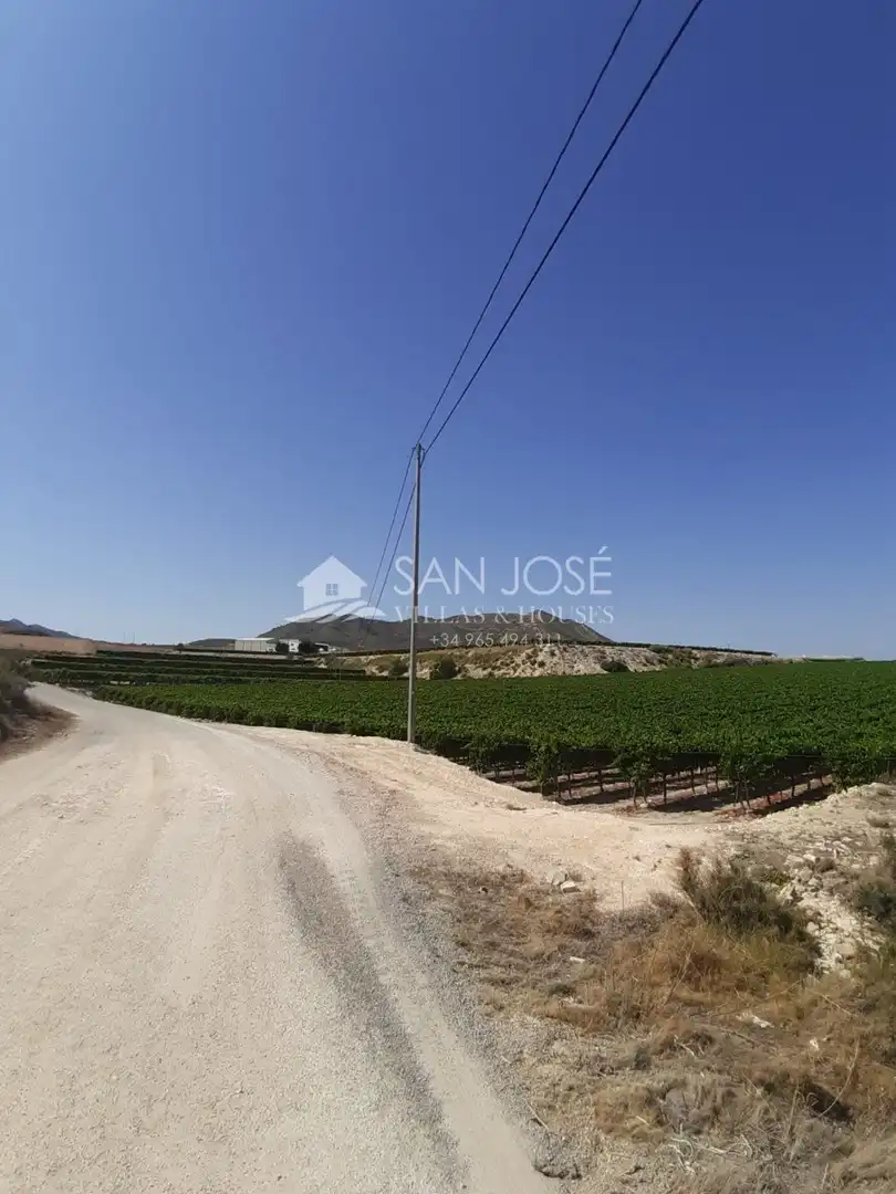 Residential land for sale in Novelda, imagen 7