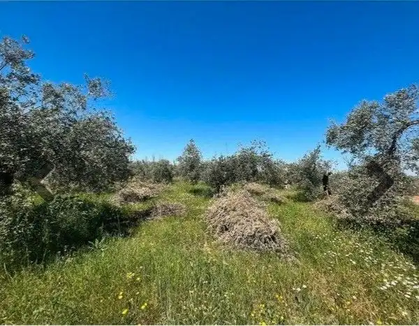 Terreni e lotti in vendita a Avenida Villa de Otura 55
