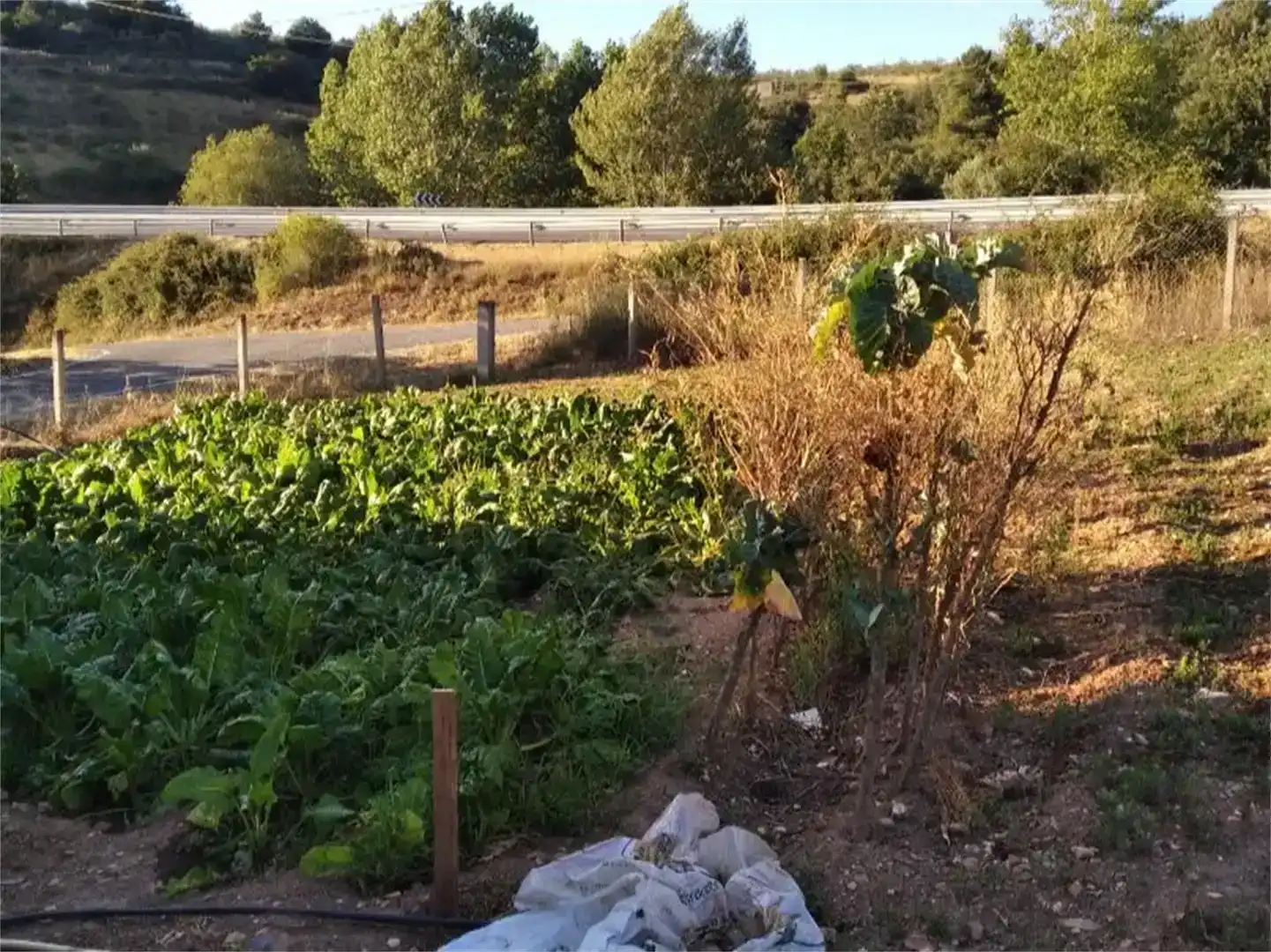 Piso en venta en O Bolo 