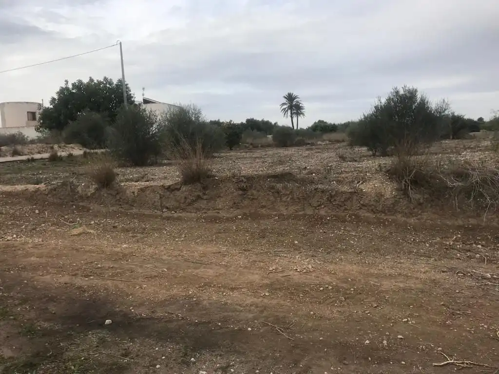 Terreno rústico en venta en Benferri, imagen 5