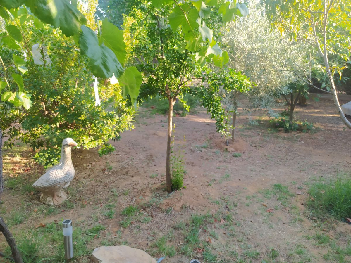 Jardí de Finca rústica en venda en Malagón
