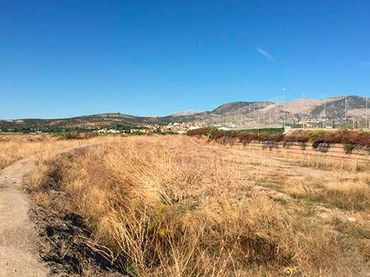 Terreno residenziale in vendita a lugar Pp-n1 Cartuja Norte F.r.9247 S/n