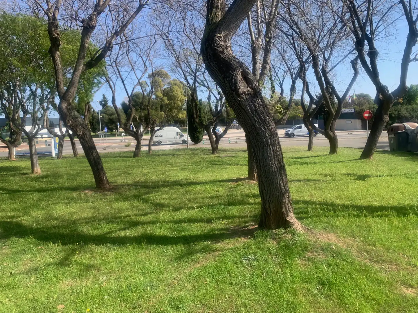 Residential land for sale in Carrer de la Barca, imagen 10