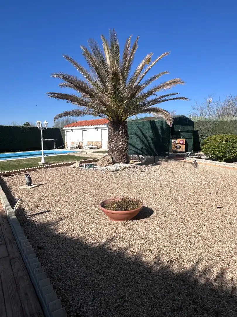 Jardí de Casa o xalet en venda en Illana amb Aire condicionat, Calefacció i Jardí privat