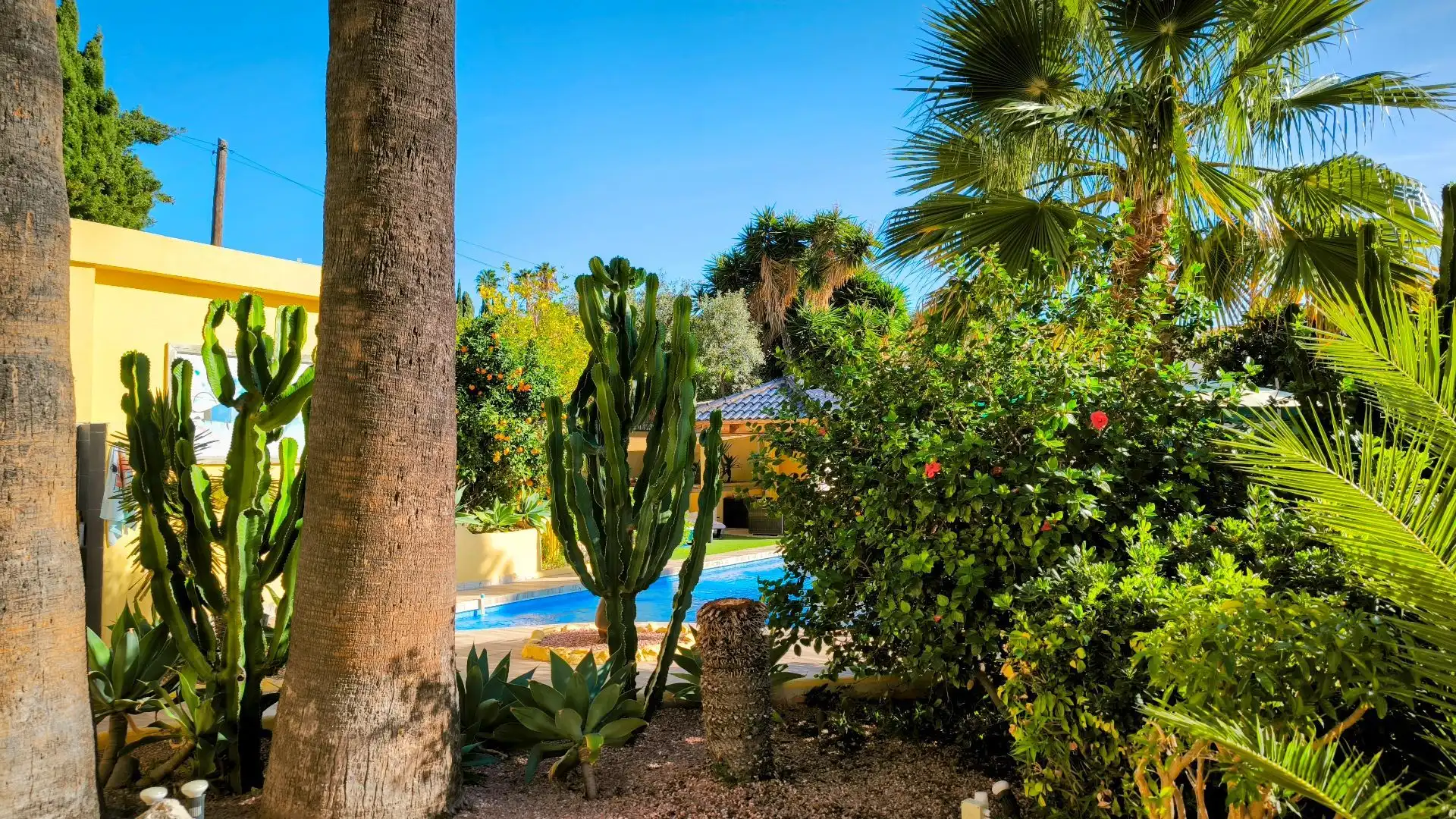 House with pool for sale in La Viña - Montemar - San Jaime, imagen 27