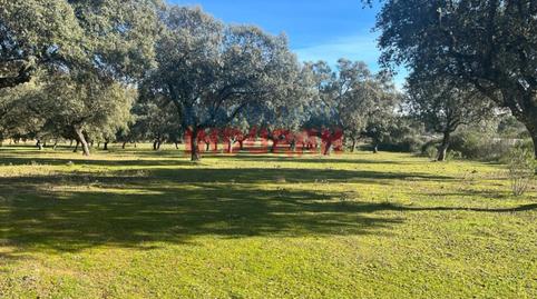 Photo 4 of Country house for sale in Calle Corrales Casa, Deleitosa, Cáceres
