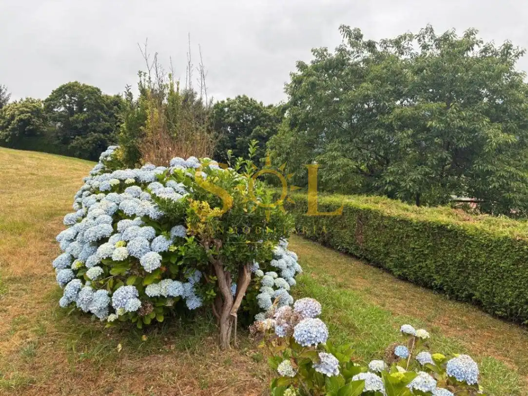 Jardí de Casa o xalet en venda en Pravia amb Calefacció i Jardí privat