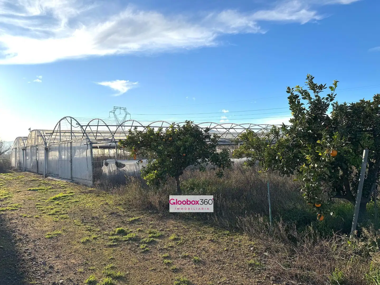Terrenys i solars en venda a Camino Riudoms 43, imagen 80