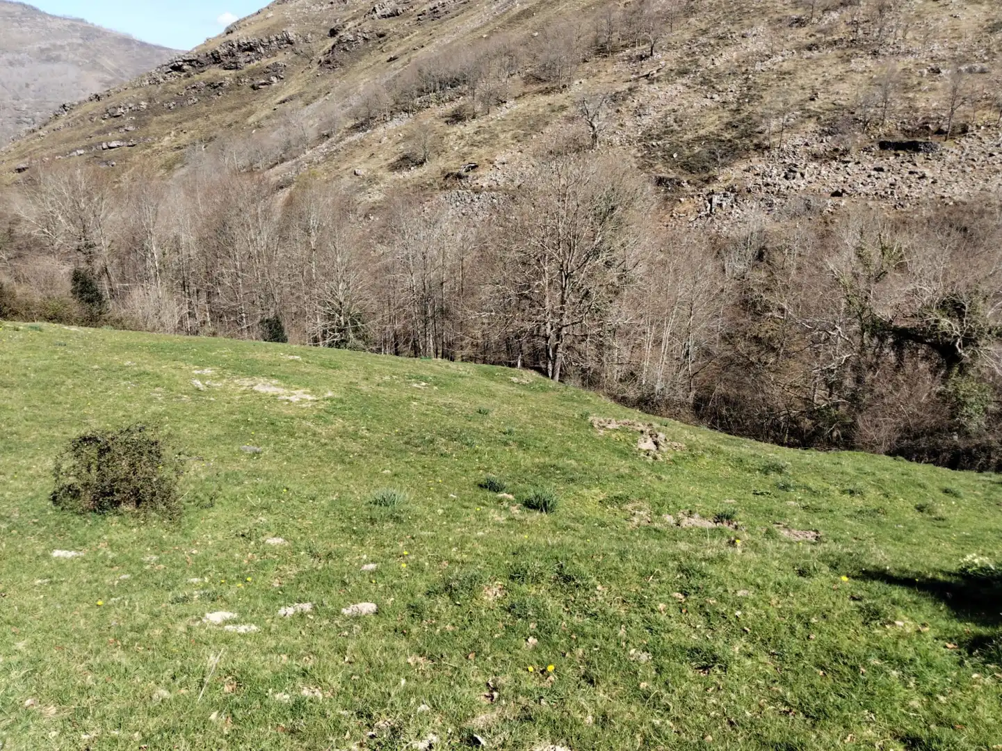 Commercial properties for sale in Peñamellera Baja