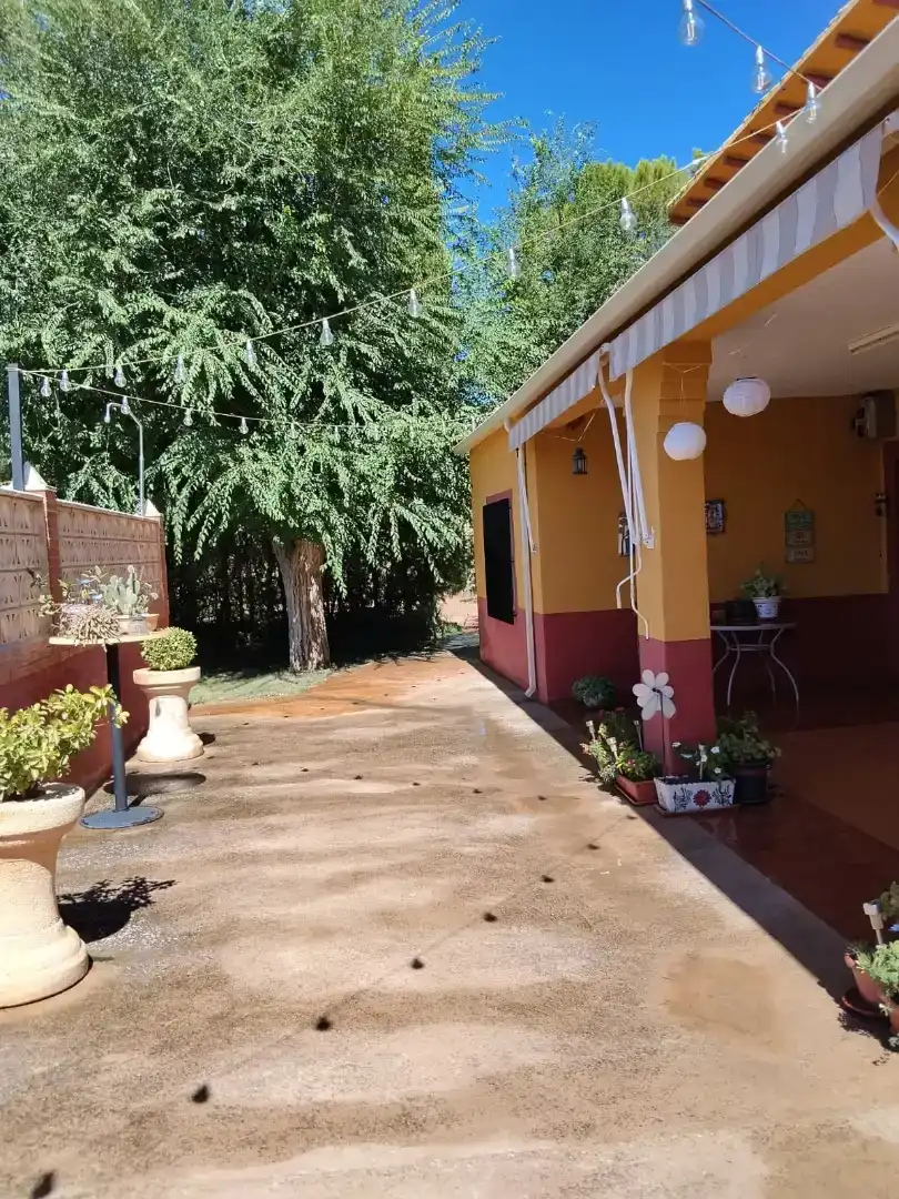 Vista exterior de Casa o xalet en venda en Membrilla amb Aire condicionat, Jardí privat i Parquet