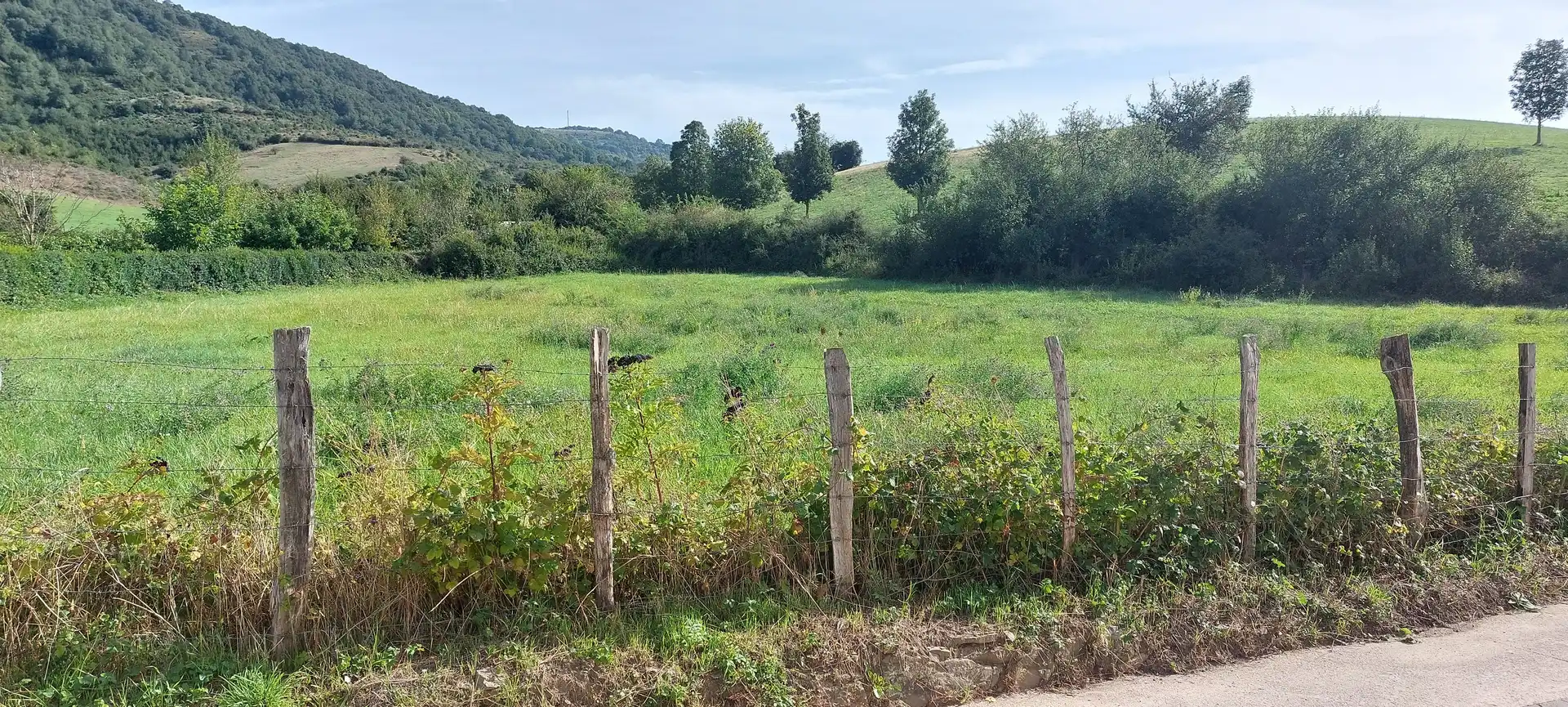 Residencial en venta en Erro
