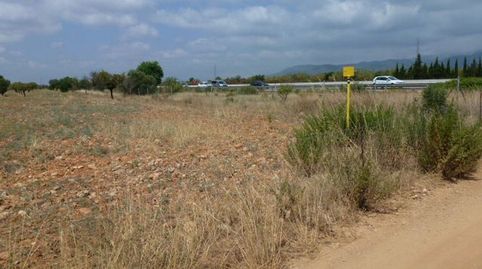 Foto 4 von Grundstücke zum Verkauf in Camino Sa Cabana, Binissalem, Illes Balears