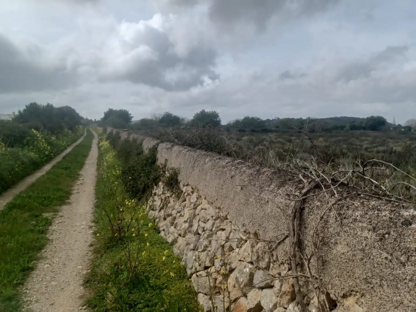 Rural land for sale in Felanitx Poble, imagen 7