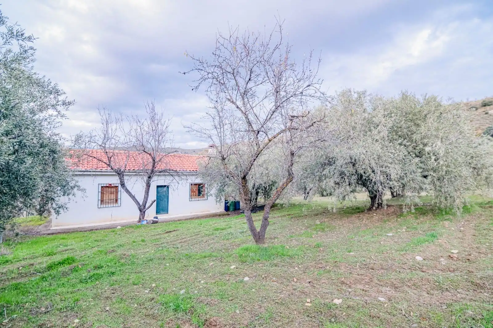 Lands and plots for sale in Autovia Pinos Genil, imagen 3