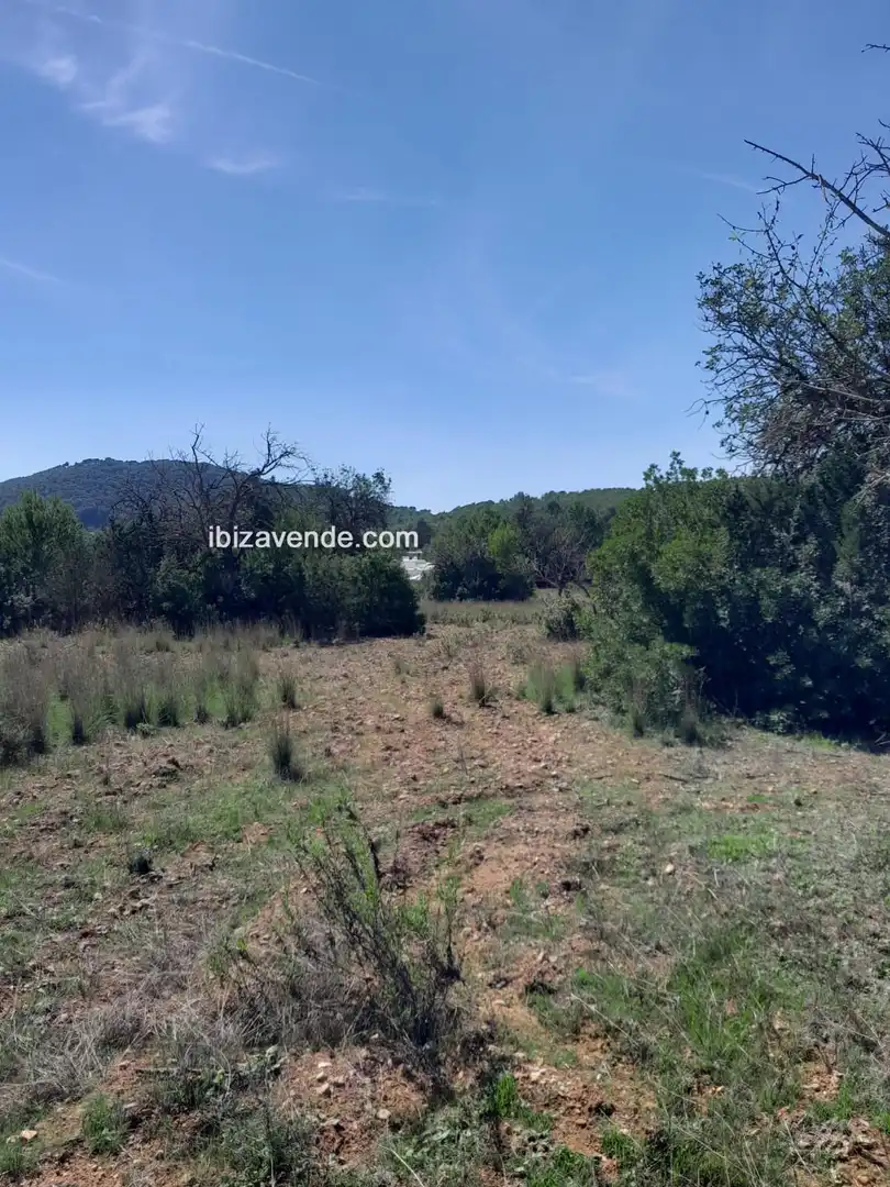 Terreno en venta en Es Canar, Sant Carles