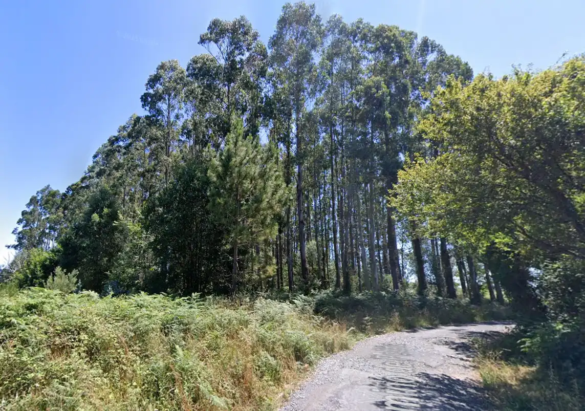 Terrenys i solars en venda a Camiño de Poliña 19, imagen 3