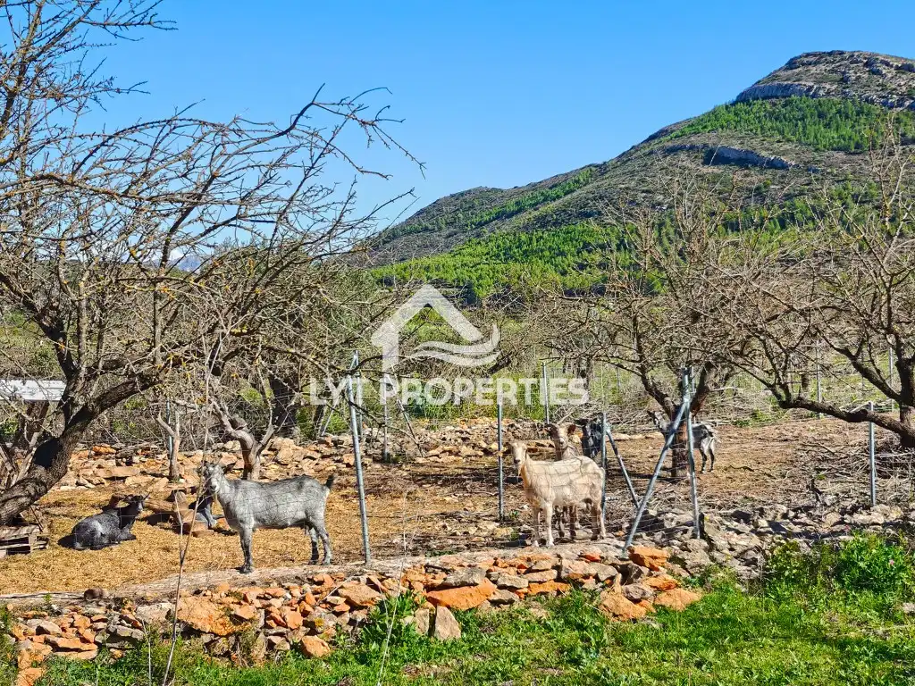 Casa o xalet en venda en Llíber