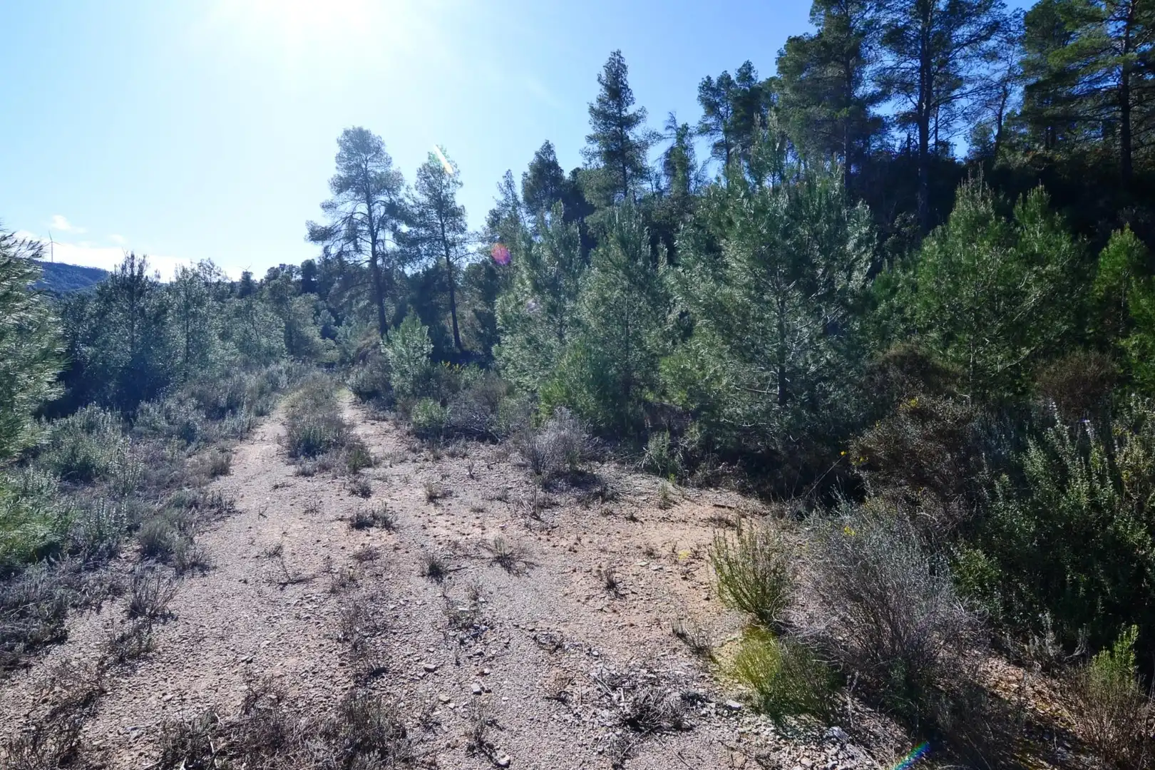 Rural land for sale in Ascó, imagen 40