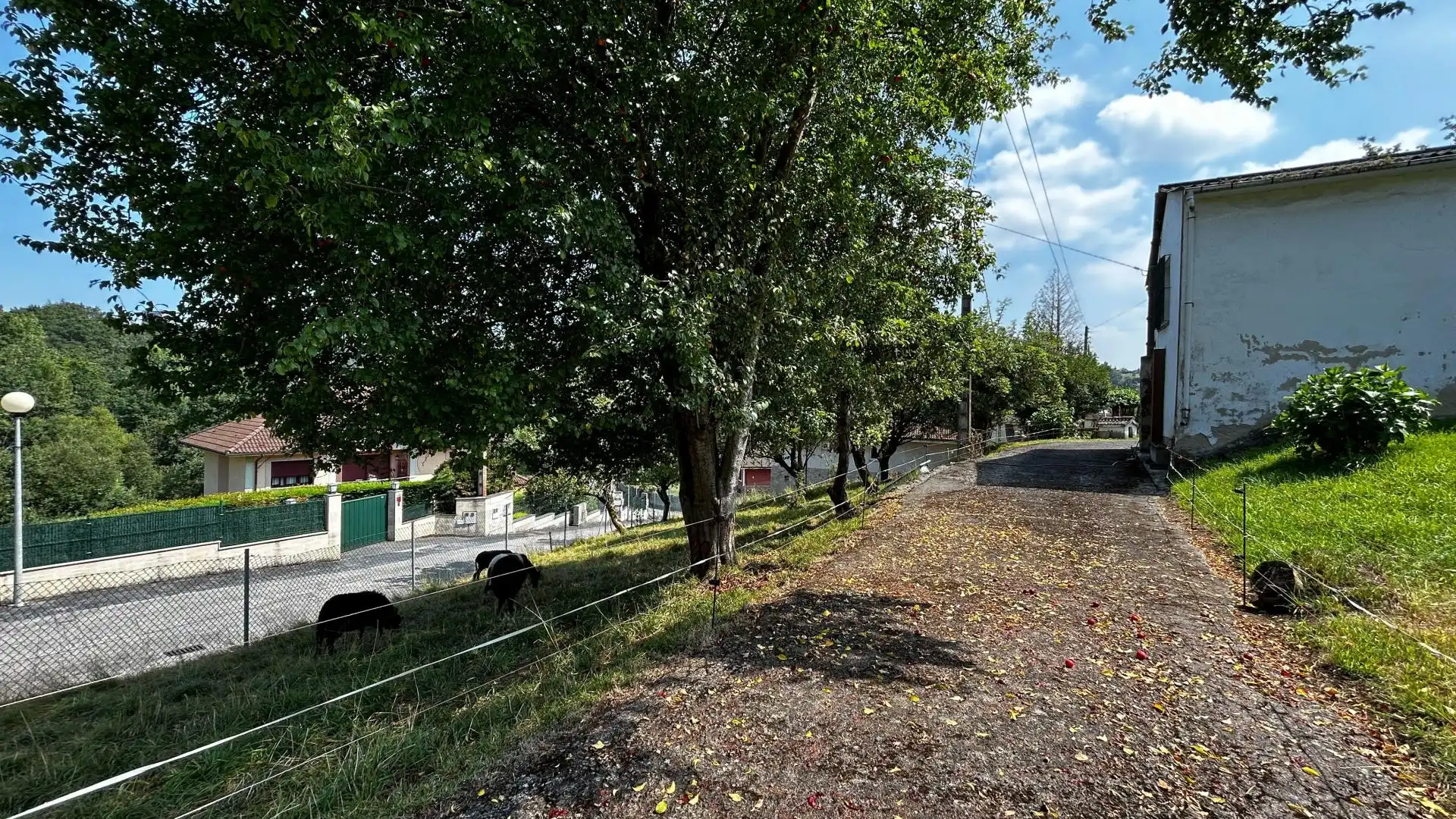 Terreni e lotti in vendita a San Claudio - Trubia - Las Caldas, imagen 40