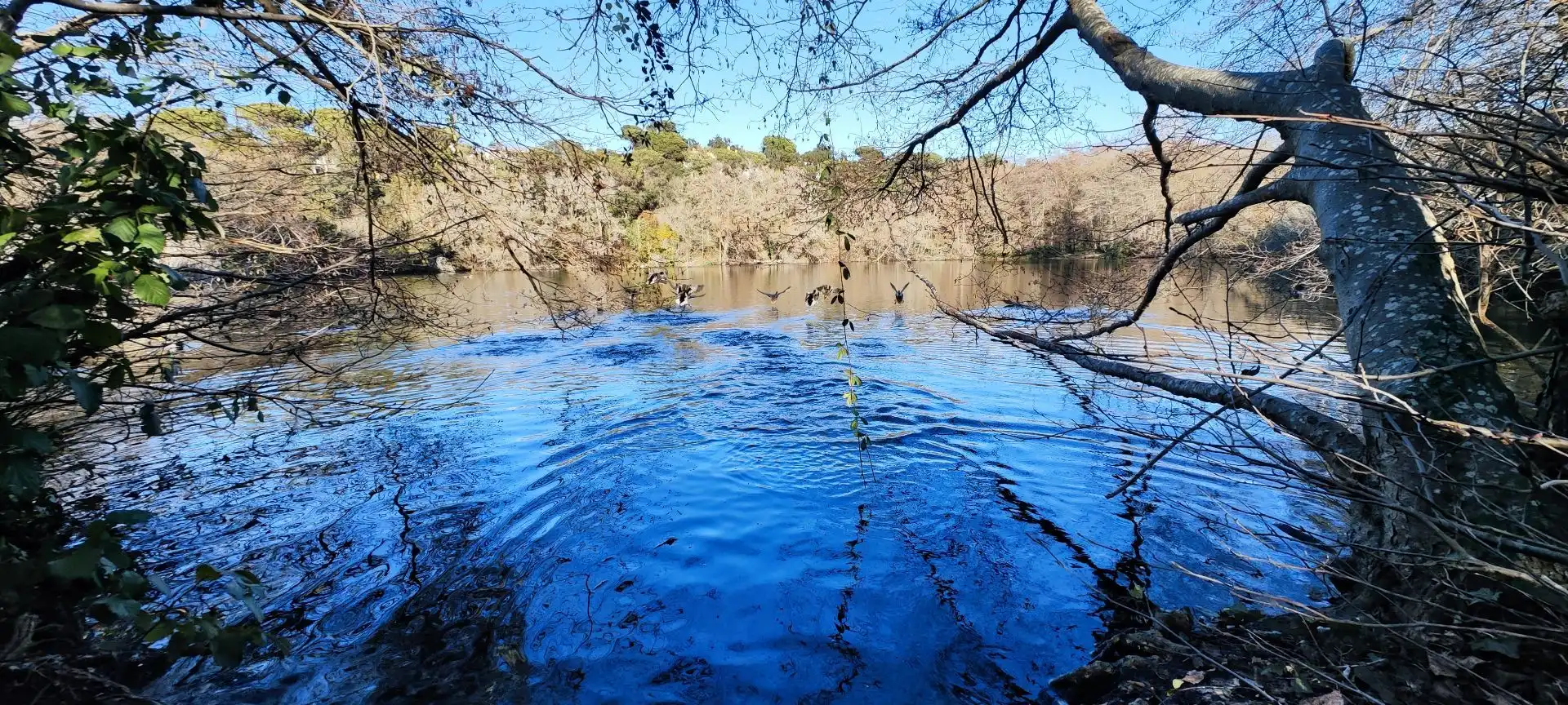Terrenos y solares en venta en Aiguaviva Parc
