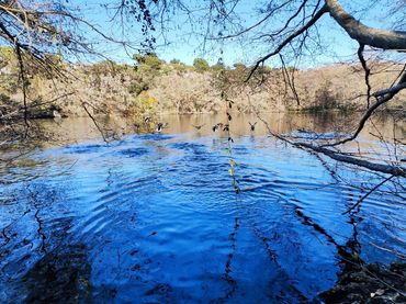 Terrenys i solars en venda a Aiguaviva Parc
