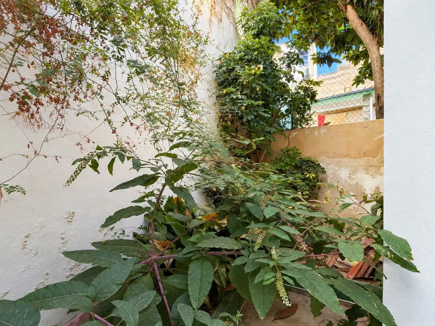 Terraced house with garden for sale in GRAN VIA COLOM, imagen 28