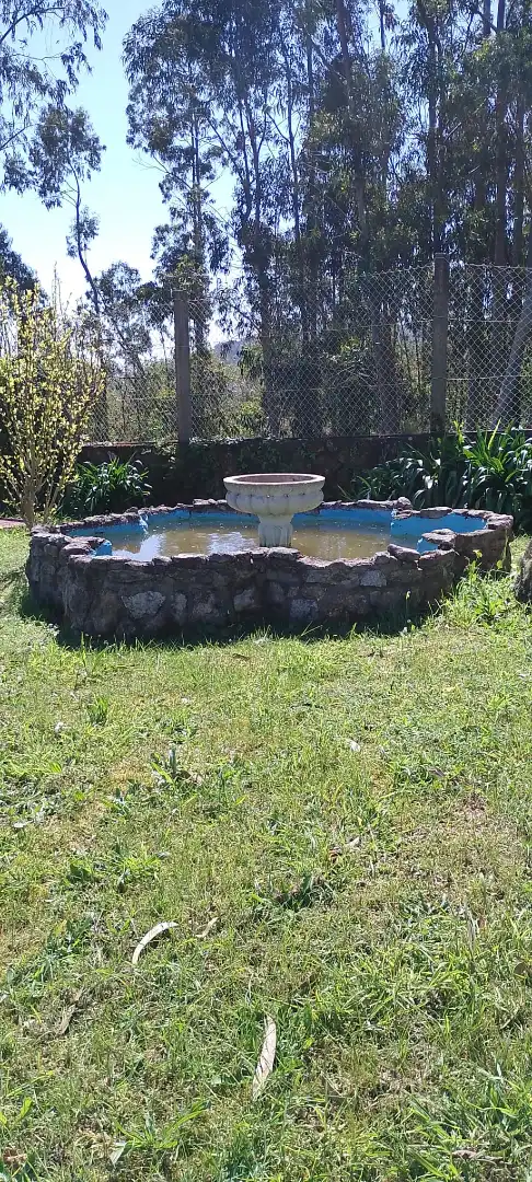 Houses for sale in O Hío