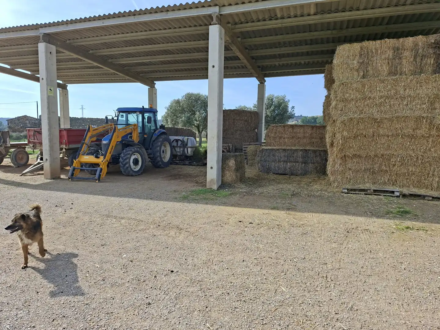 Terreni e lotti in vendita a Huerta Rimer de Alla, imagen 43