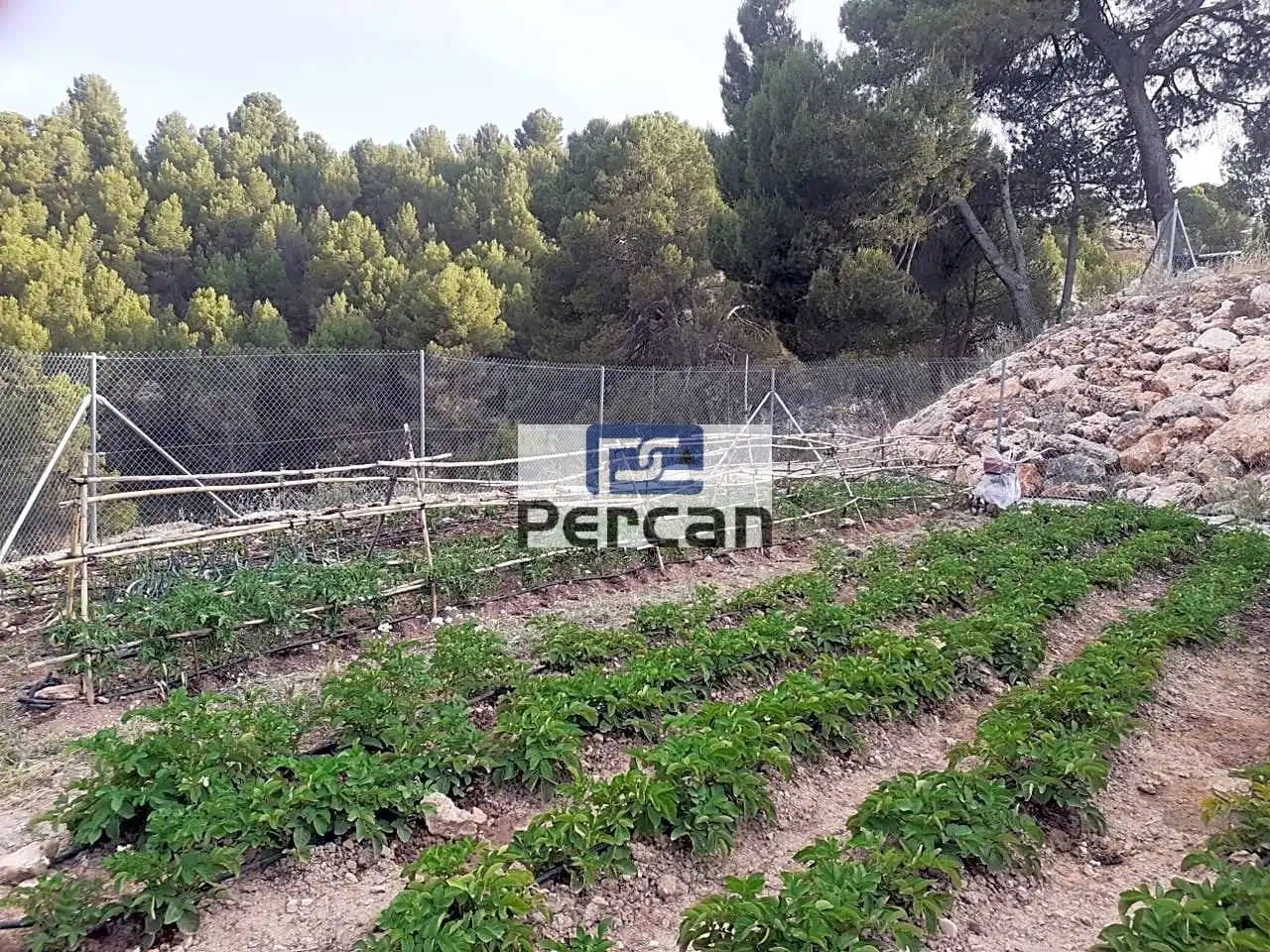 Residencial en venta en Cortes de Baza